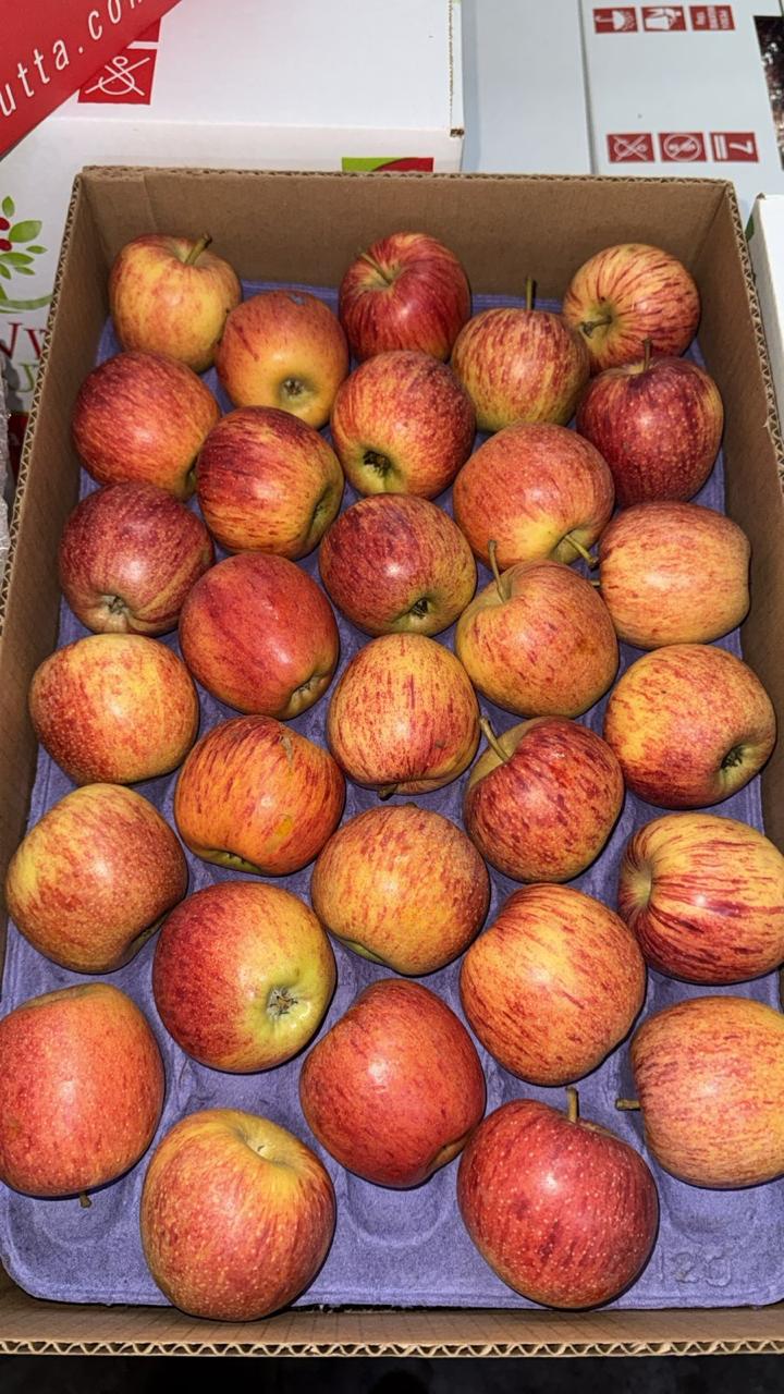 WhatsApp Image 2026-04-02 at 08.41.44.jpeg