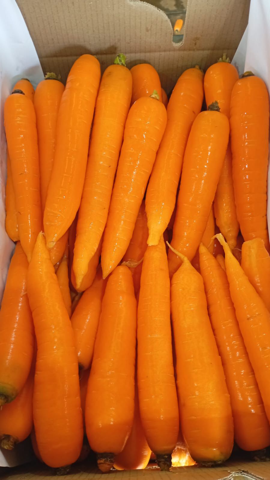 WhatsApp Image 2026-04-02 at 08.39.21.jpeg