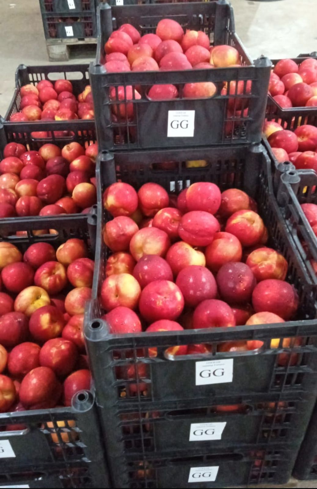 WhatsApp Image 2026-04-02 at 08.42.38.jpeg