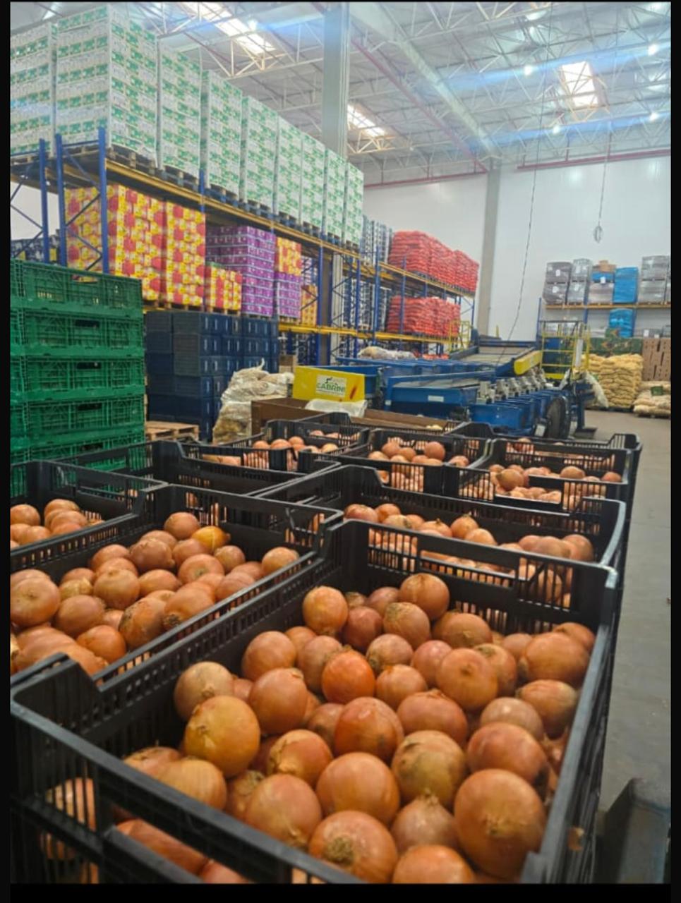 WhatsApp Image 2026-04-02 at 08.40.45.jpeg