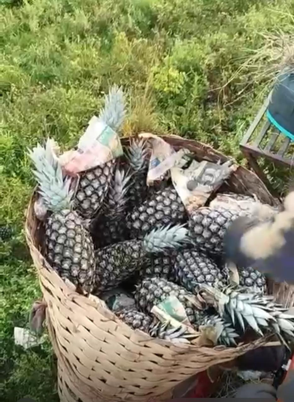 WhatsApp Image 2026-04-02 at 08.43.46.jpeg